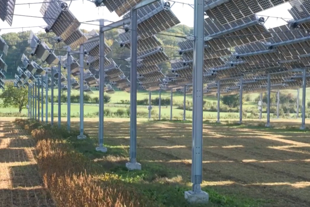 DG视讯·(中国游)有限公司官网